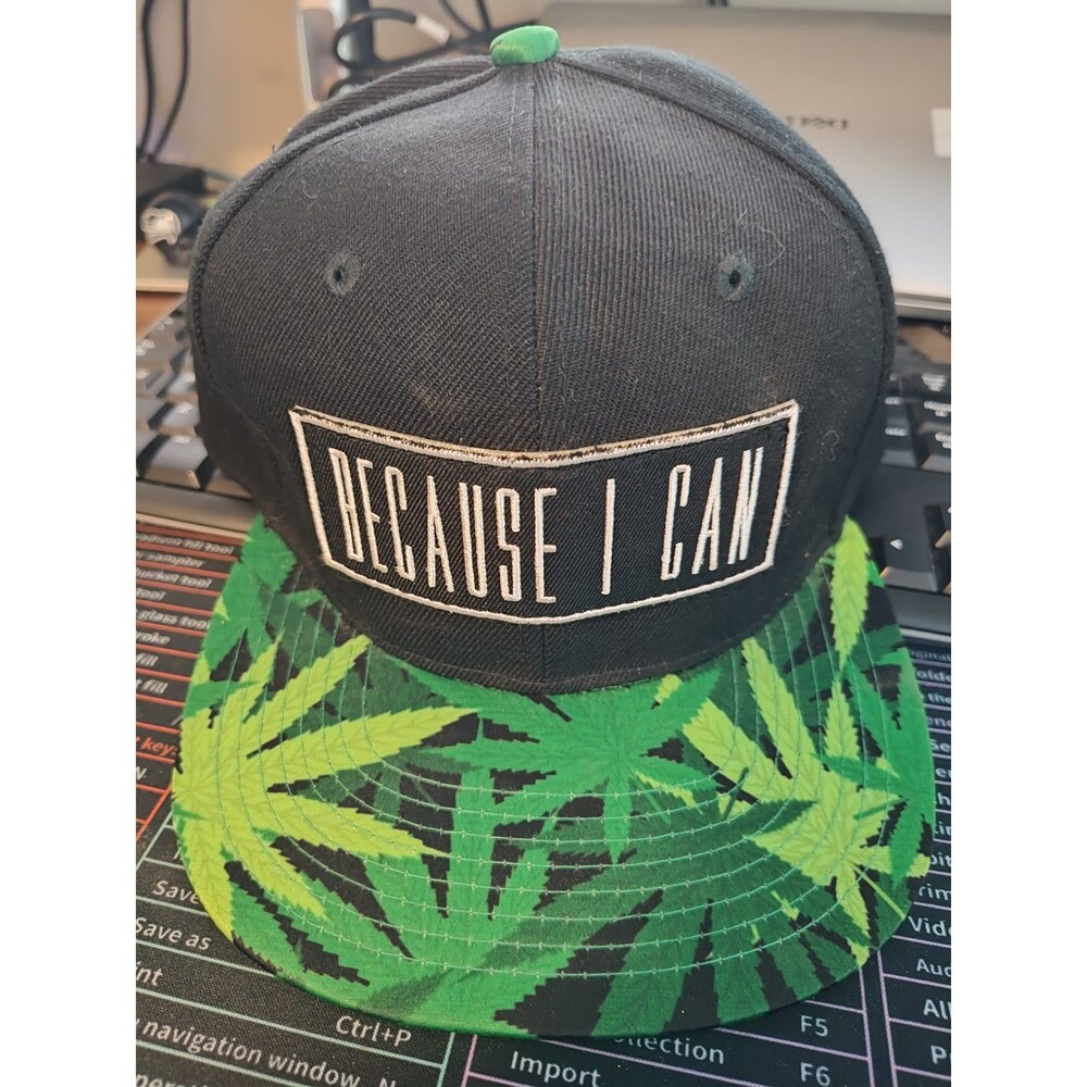 Because I Can Snapback Hat Cap